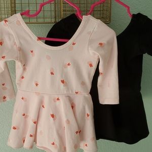 Alice & Ames 2T Leo bundle